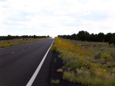 u46/arizona_sunshine/medium/33900319.DSCN99985.jpg