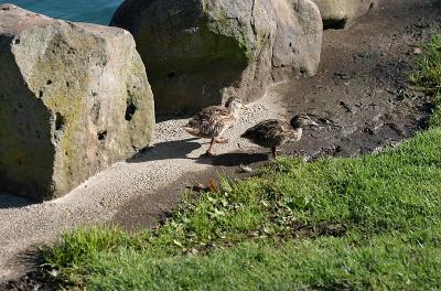 IMG_6965.jpg