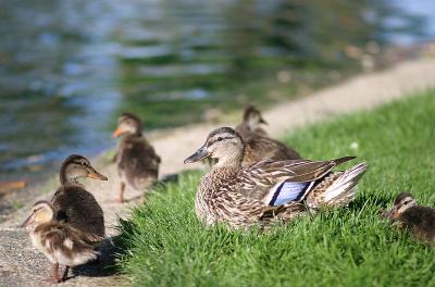 IMG_6982.jpg