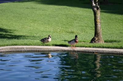 IMG_7029.jpg