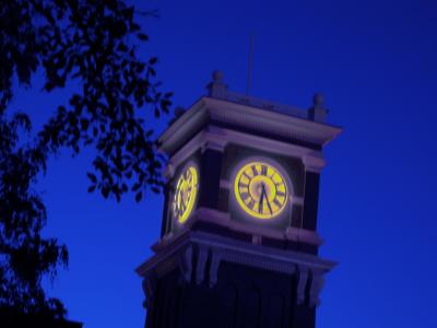 the clock tower (its really red, but it doesn't look as cool that way)