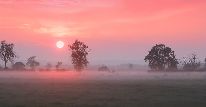 Autumn Mist .