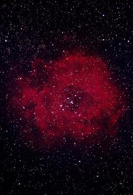 Rosette Nebula