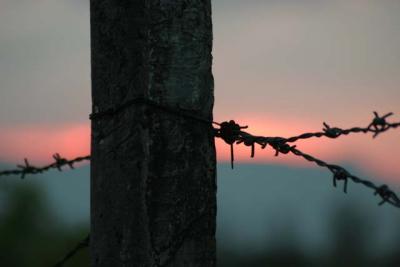 sunset at the fence.jpg