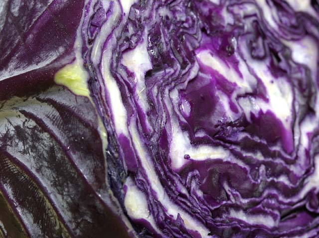 red cabbage.jpg