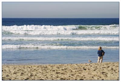 Surf Watchers
