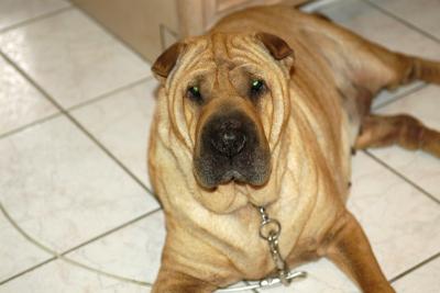 DSC_8092web.jpg