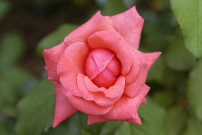 DSC_8093web.jpg