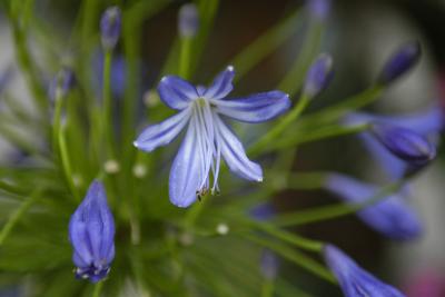 DSC_8097web.jpg