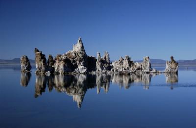 Mono Reflection