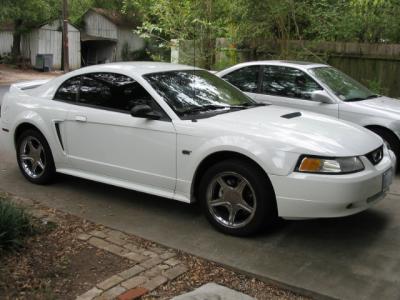 My Mustang 7/04