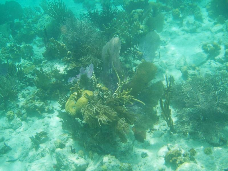 Waterlemon Cay