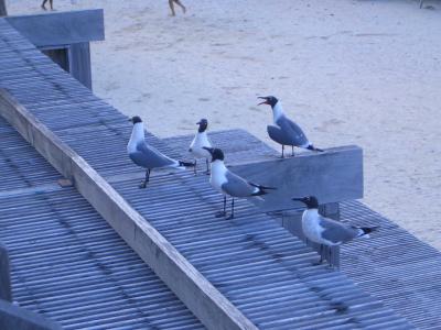 Mine, mine, mine, mine, mine. . .