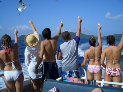 Feeding the Gulls from the Stormy Petrel