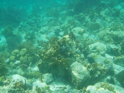 Waterlemon Cay