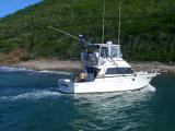 Black Pearl Flying TWO Marlin Flags