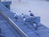 Mine, mine, mine, mine, mine. . .