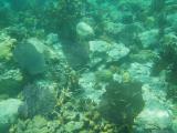 Waterlemon Cay