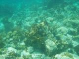 Waterlemon Cay