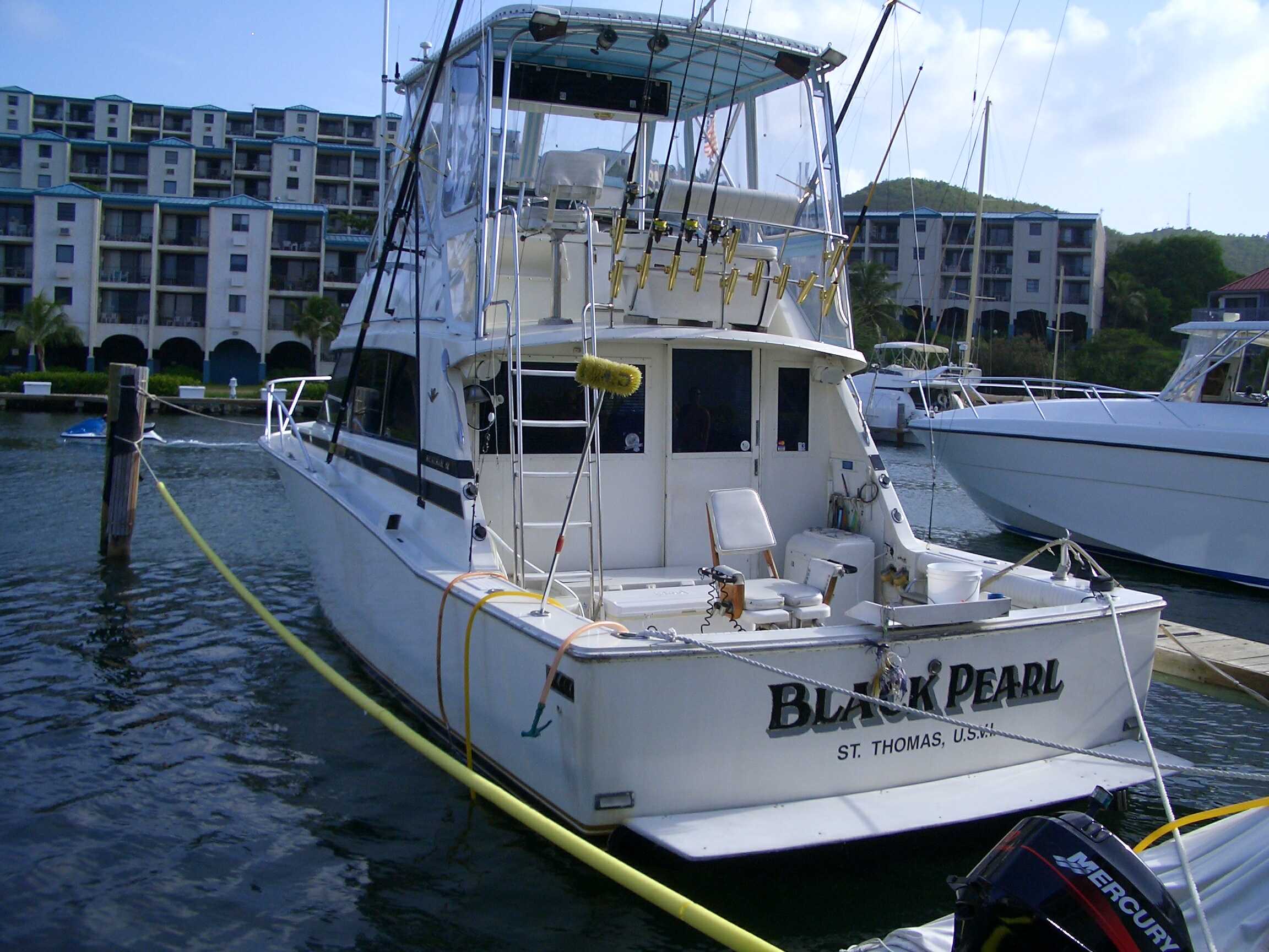The Black Pearl