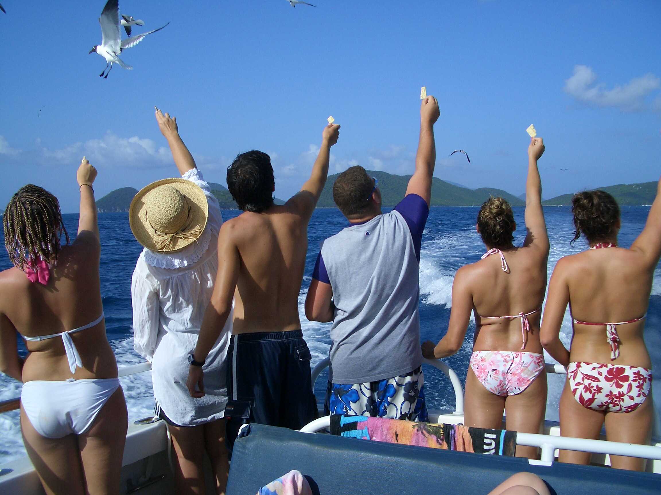 Feeding the Gulls from the Stormy Petrel