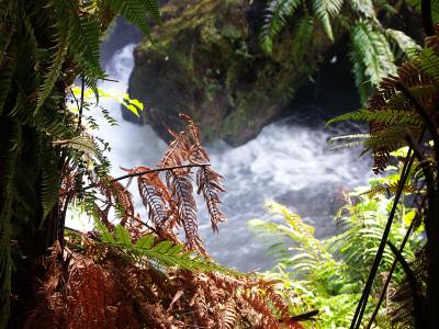 Waterfall, The Buried Village of Te Wairoa