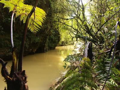 Entrance to Waitomo Caves in Waikato