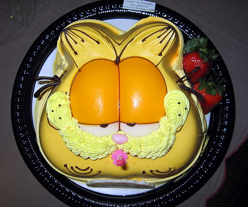 Garfield Birthday Cake