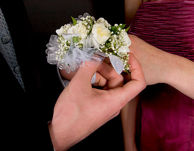 CRW_3790..web.jpg