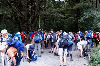 Milford Track Day 1