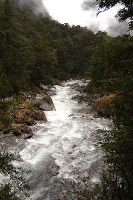 Milford Track Day 2