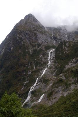 Milford Track Day 2