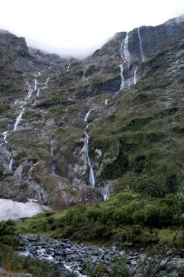 Milford Track Day 3