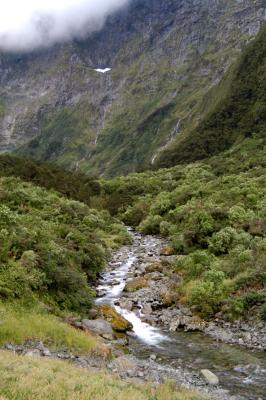 Milford Track Day 3