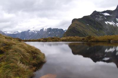 Milford Track Day 3