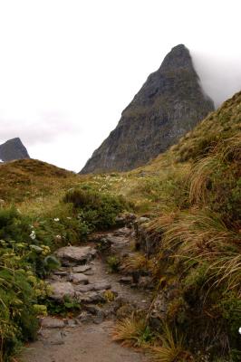 Milford Track Day 3