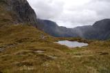 Milford Track Day 3