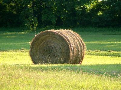 time to cut hay