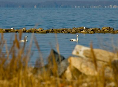 Chesapeake Bay Bridge