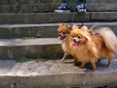 June5_04_018.JPG