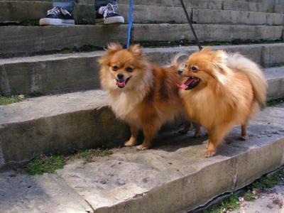 June5_04_020.JPG