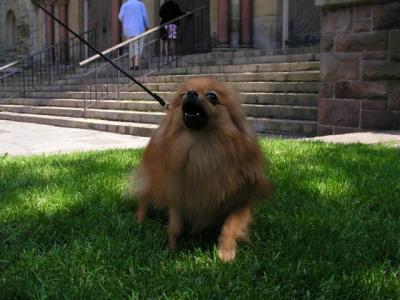 June5_04_030.JPG