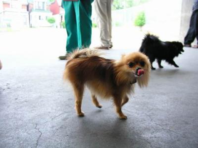June7_04_007.JPG