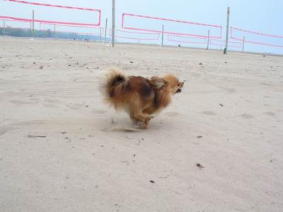 June7_04_018.JPG