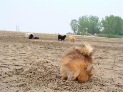 June7_04_023.JPG