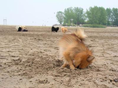 June7_04_024.JPG
