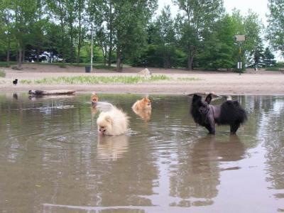 June7_04_026.JPG