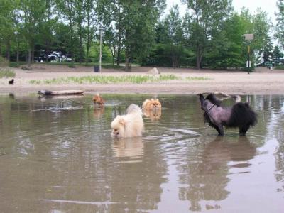 June7_04_027.JPG