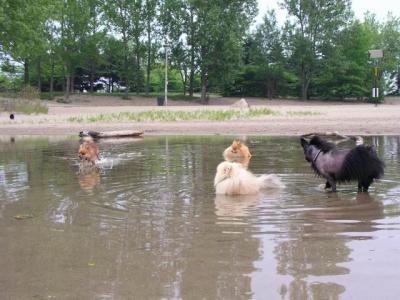 June7_04_028.JPG