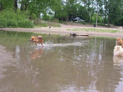 June7_04_029.JPG